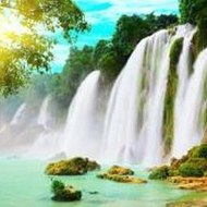 The Silence of the Lambs