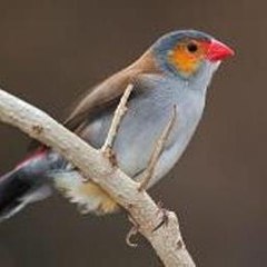 Free Photography Stock