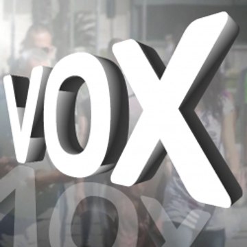 VoxReport
