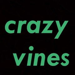 crazy vynz   )  make u a smile