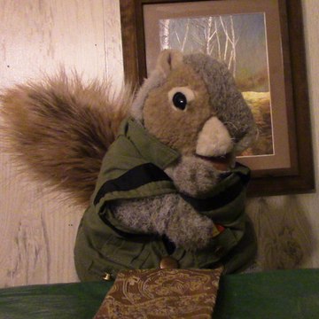 Squirrel talks