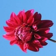 Peppa Pig Sol Mar Y Nieve