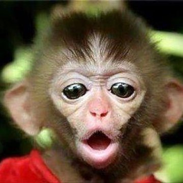 Симпсоны онлайн