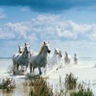 Peppa Pig Full Season 6