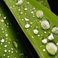 Peppa Pig Compilation 7