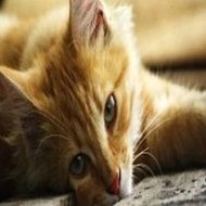 Minecraft House Tutorial