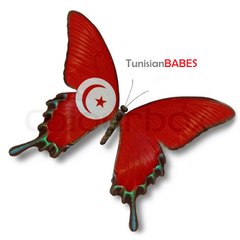 Tunisianbabes