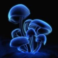 Minecraft Mod Showcase