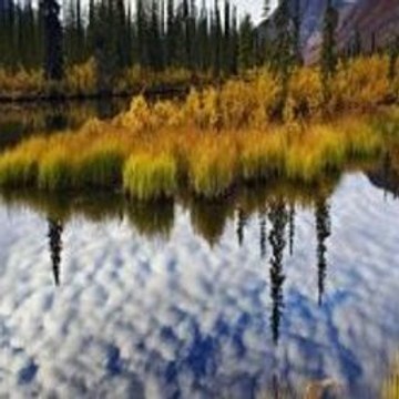 Minecraft Hide N Seek