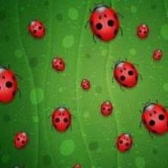 Piosenka O Minecraft Tnt