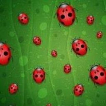 Piosenka O Minecraft Tnt