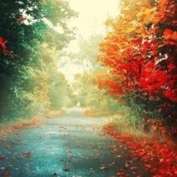 Peppa Pig Opening Song