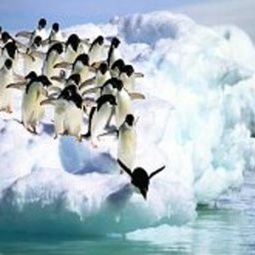 Peppa Pig Roller Coaster