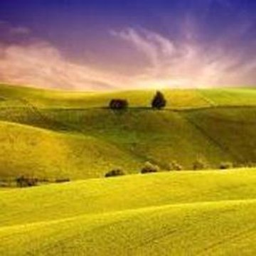 Peppa Pig Vs Spongebob