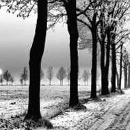 Big Hero 6 Minecraft