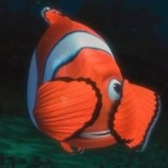 O Shortfilms
