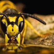 Asdfmovie 1-8 Minecraft