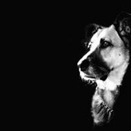 World War 2 Minecraft