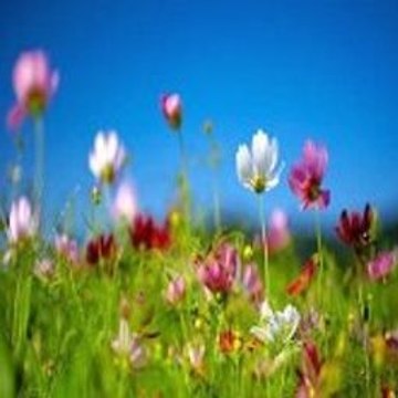 Minecraft Zombie Mod