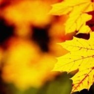 Chemical X Minecraft