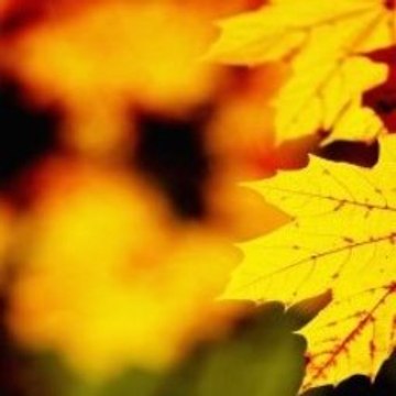 Chemical X Minecraft