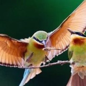 Minecraft Wrecking Ball