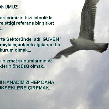 www.kaskopolice.com