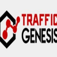 Traffic Genesis program