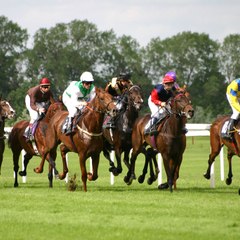 Horse Racing Australia