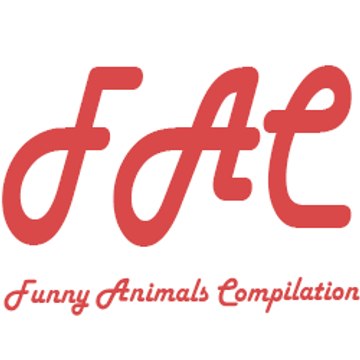 Funny animals compilation