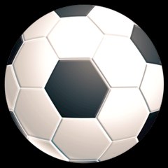 Rotocalcio