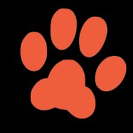 猫 ねこ 고양이 gato кот