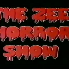Zee horror show anhonee
