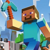 Minecraft Video Game
