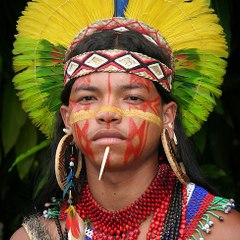 Xingu Tribe