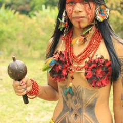 Bushman Tribe