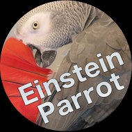 Parrot Einstein