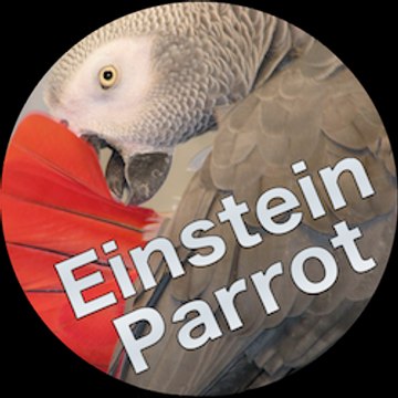 Parrot Einstein