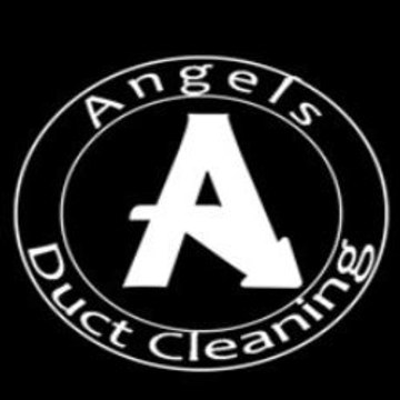angelsductclean