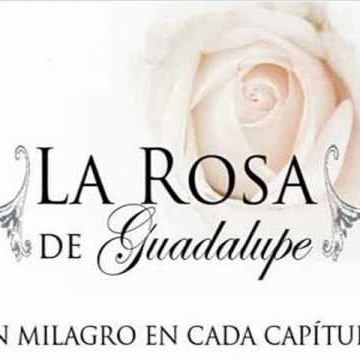 La Rosa De Guadalupe