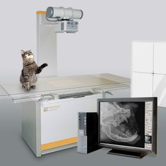 Veterinary Radiology