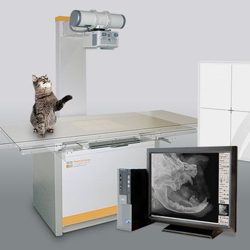 Veterinary Radiology