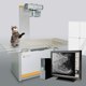 Veterinary Radiology