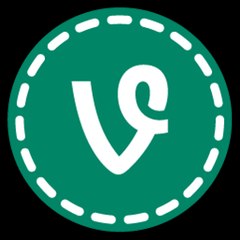 Best Vine