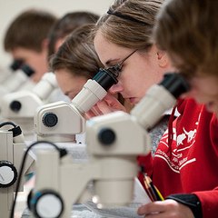 Veterinary Parasitology