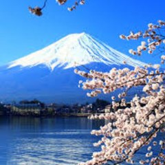 TV japan