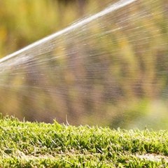 Sprinklerus1