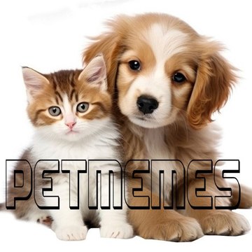 PetMemes 😹❤🐶