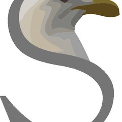 Seagull Media Productions