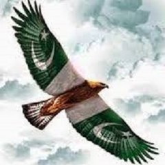 Pak Politics